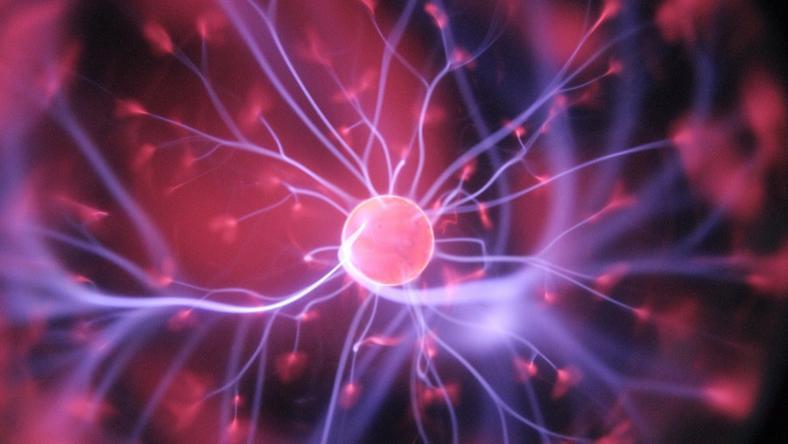 全球TOP10顶尖基因测序公司出炉